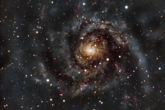 IC342