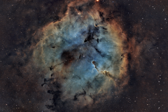 Elephant Nebula 2025