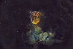 IC 443 Jellyfish Nebula
