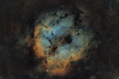 Image25-scaled