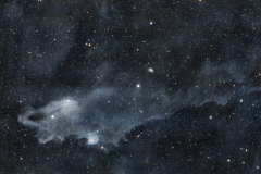 LDN 1235 The Shark Nebula