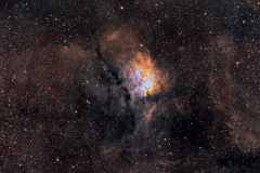 cropped-Image08v3siggallery