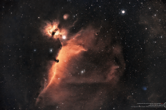 NGC 2024
