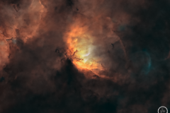 SH-101 Starless Tulip nebula