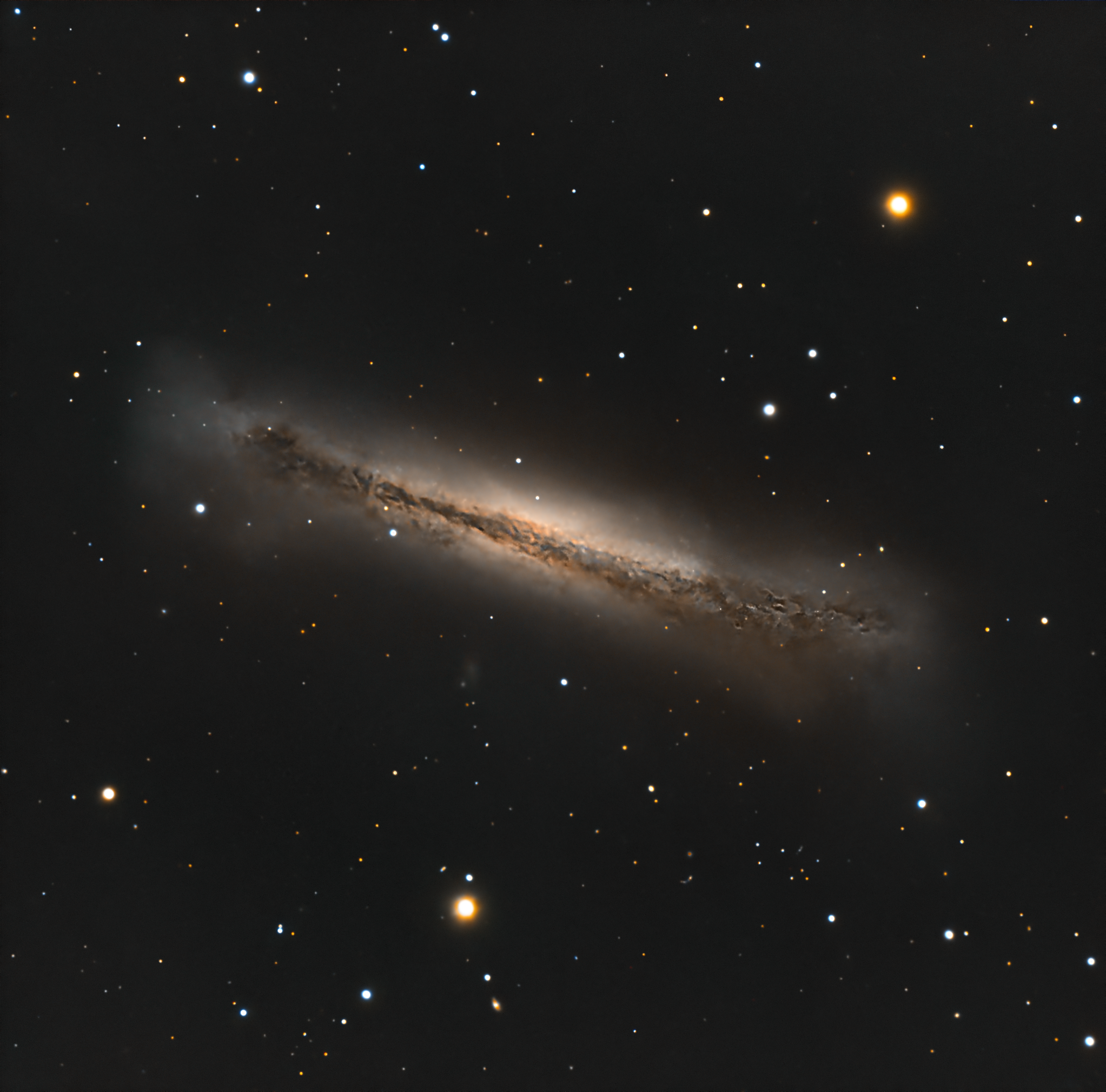 NGC 3628 The Hamburger Galaxy